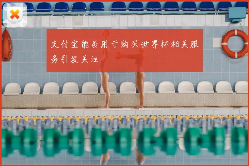 支付宝能否用于购买世界杯相关服务引发关注