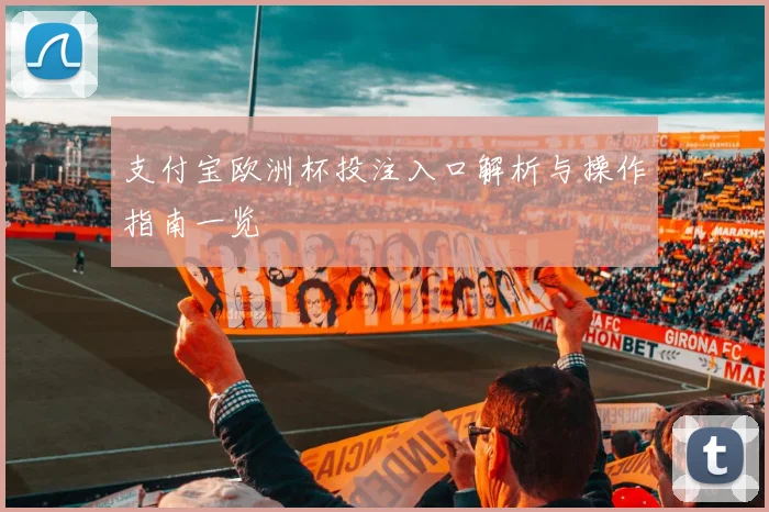 支付宝欧洲杯投注入口解析与操作指南一览