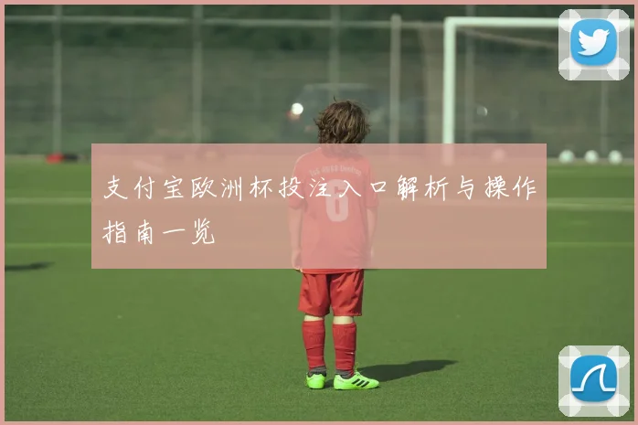 支付宝欧洲杯投注入口解析与操作指南一览