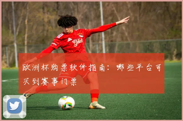 欧洲杯购票软件指南：哪些平台可买到赛事门票