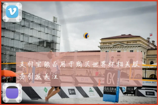 支付宝能否用于购买世界杯相关服务引发关注